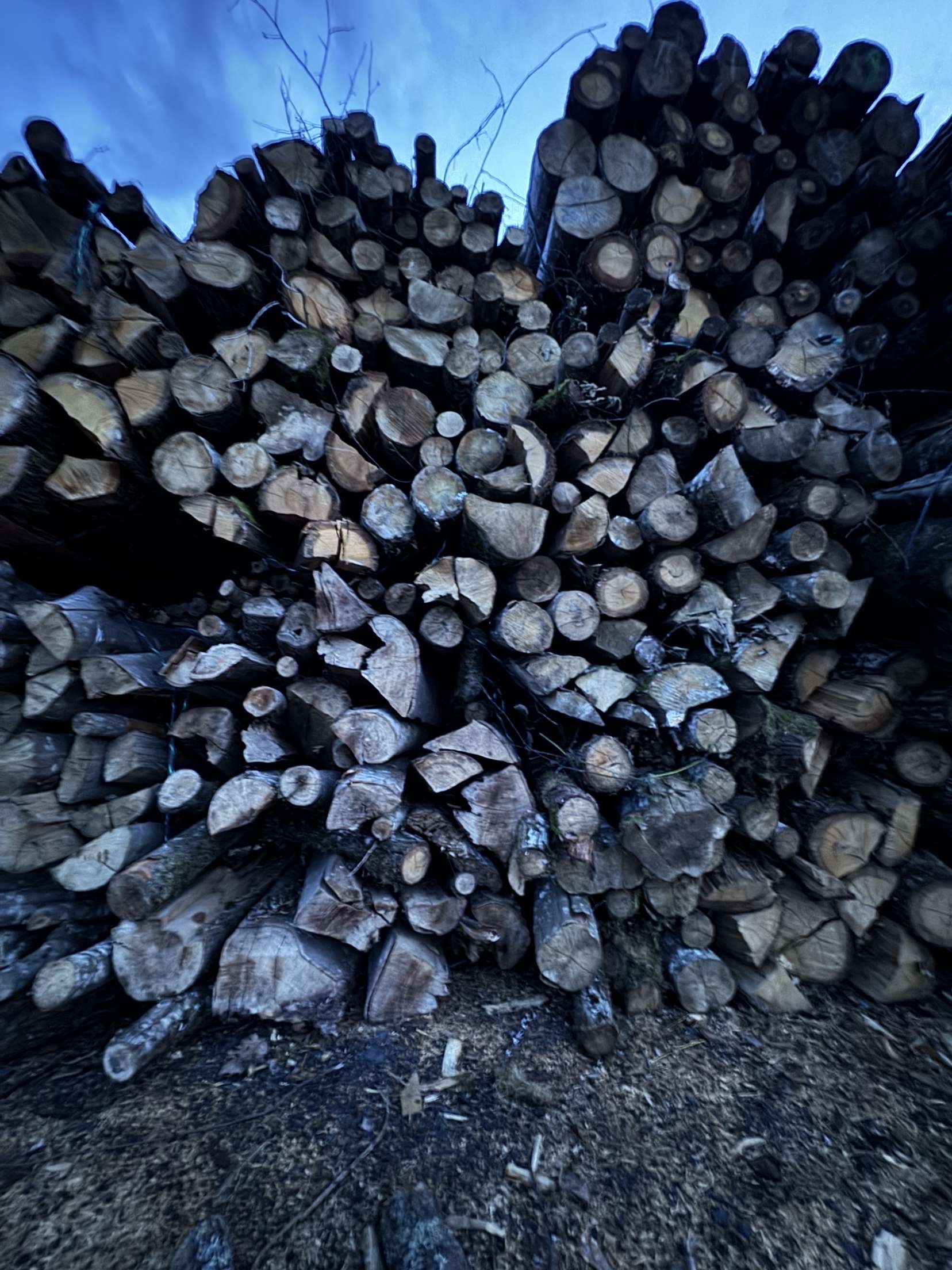 Livraison bois de chauffage Seine-et-Marne