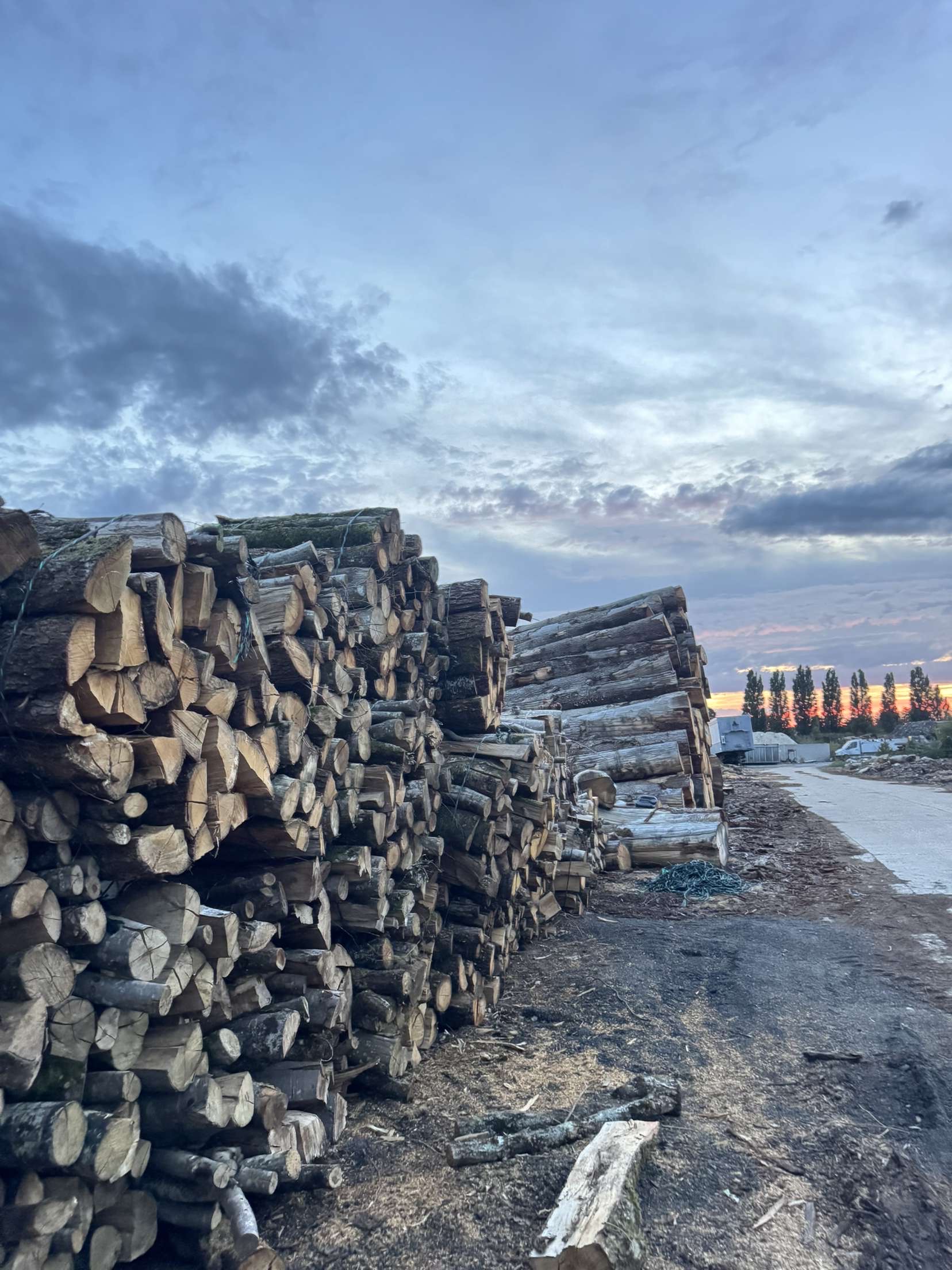 Stères de bois de chauffage sec 77