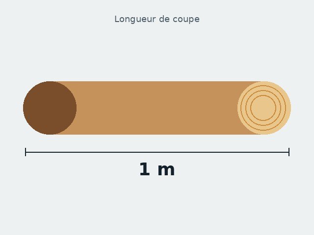 Bois de chauffage 1 m